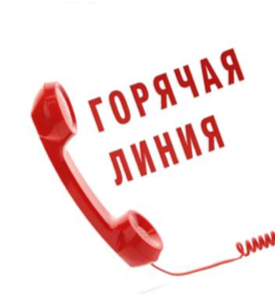 2024-08-30_09-54-57.png